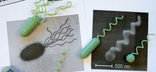 Vortrag für die Oberstufe am 14. Dezember 2018 Vortrag für die Oberstufe am 14. Dezember 2018